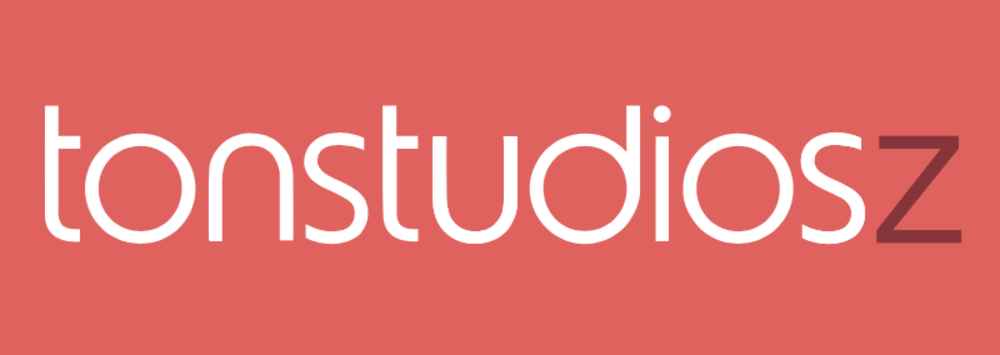 Referenz Tonstudios Z AG